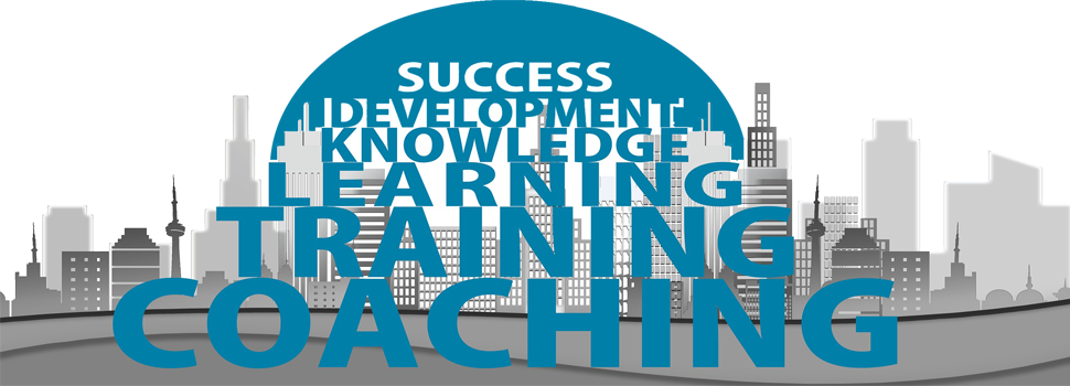 Consultoria e Coaching